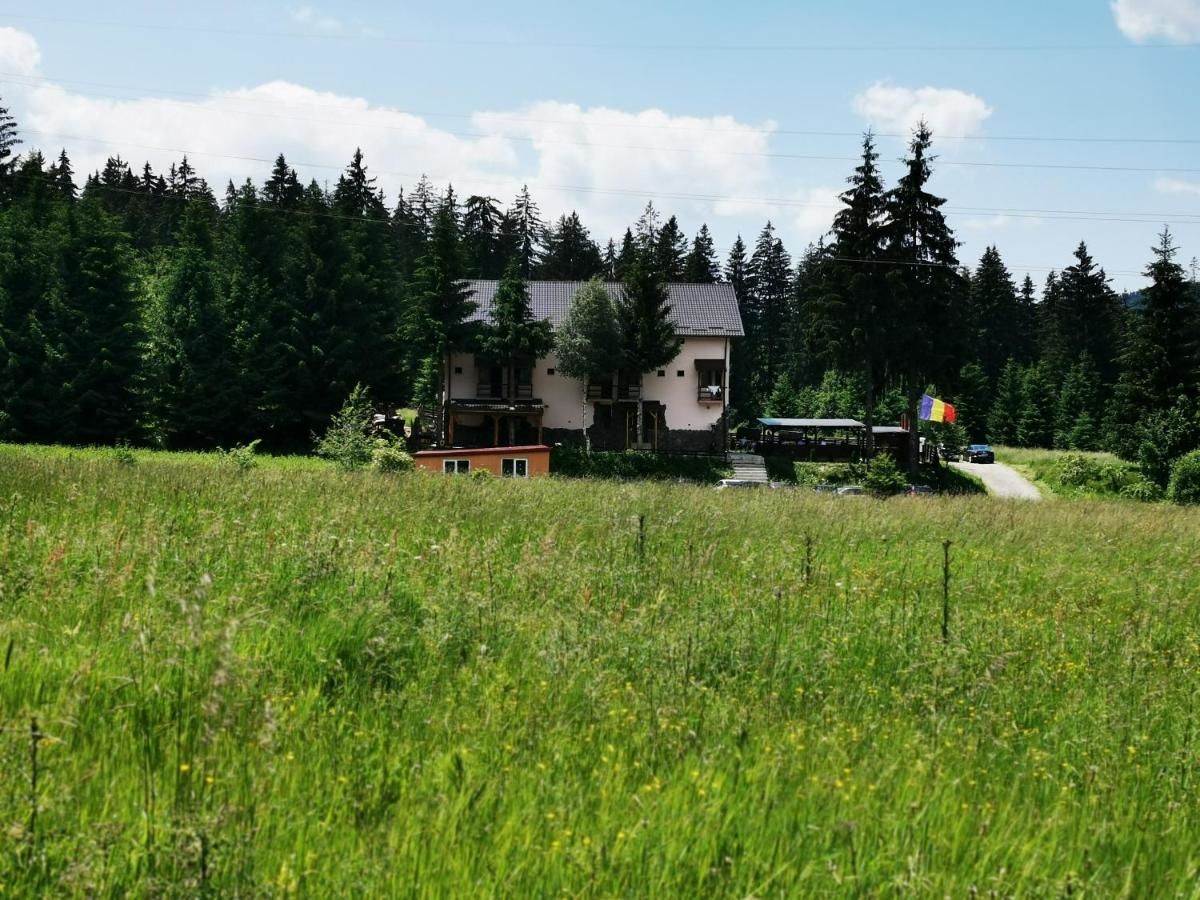 Гостевой дом Casa de Vacanta Predeal Предял-8